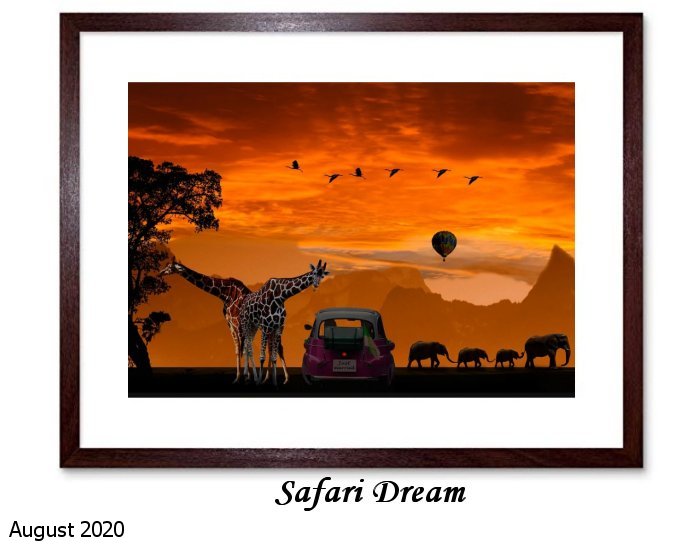 Safari Dreams